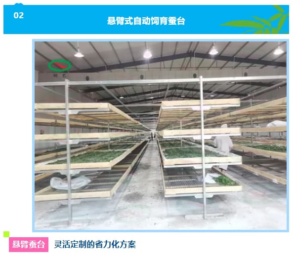 3bf7350a-19c4-4a57-8e2b-f32165fab22e.jpg