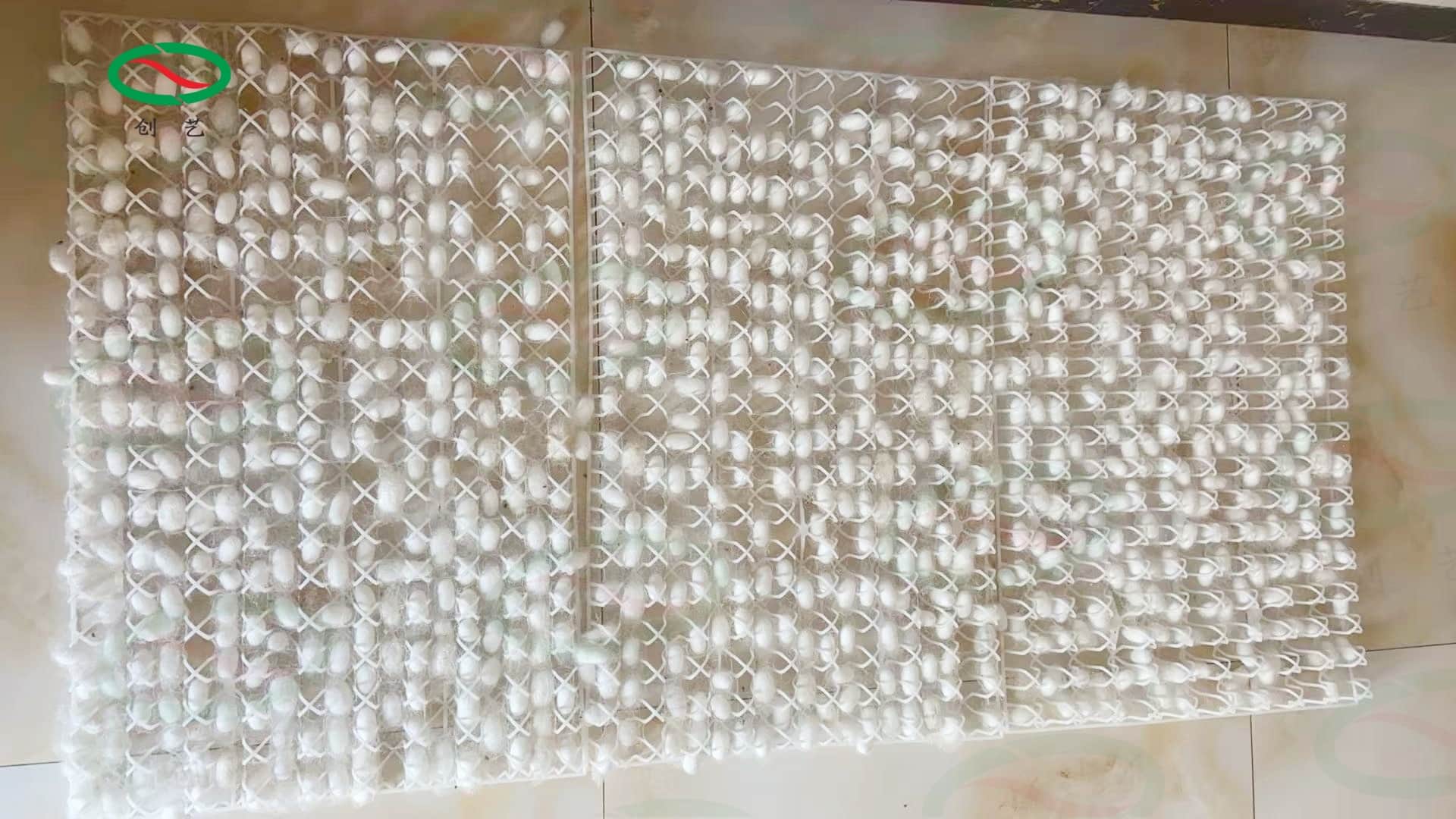 1790061163231533.jpg
